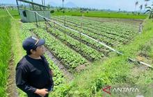 Langkah Antisipasi Kemarau, Ribuan Hektare Lahan Asuransi Pertanian Garut Lindungi Petani dari Gagal Panen