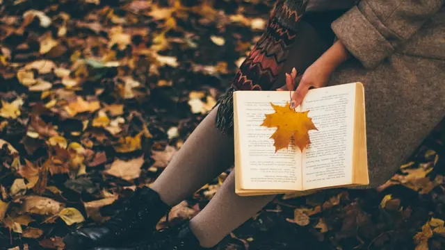 Kutipan Novel Memoirs of a Geisha Bagian VI