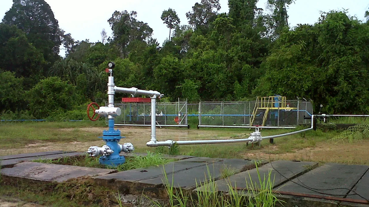 Zamrud Area, sumur operasi BOB BSP