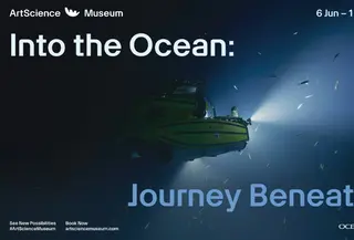 ArtScience Museum menghadirkan kedalaman samudra yang selama ini tersembunyi di Singapura. [Dok/Marina Bay Sands Singapore].