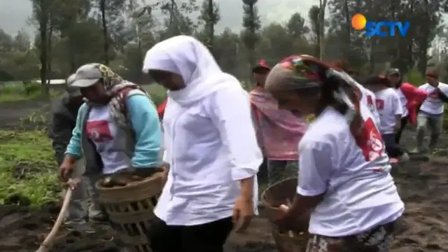 Sambangi Bromo, Khofifah Dengarkan Curhat Petani