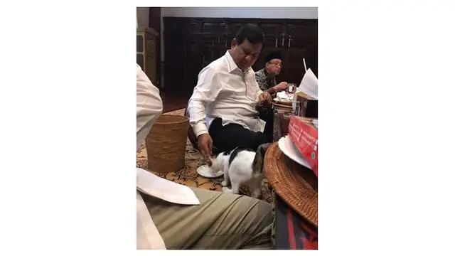 Potret Kedekatan Antara Prabowo dengan Bobby Si Kucing Kesayangan