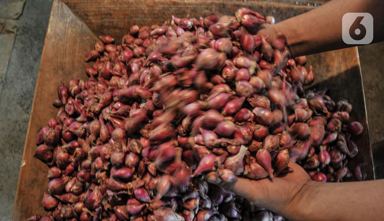 Pedagana menunjukkan bawang merah di Pasar Induk Kramat Jati, Jakarta Timur, Rabu (14/12/2022). Berdasarkan data Pusat Informasi Harga Pangan Strategis (PIHPS) Nasional pada hari ini, sejumlah komoditas menunjukkan kenaikan. (merdeka.com/Iqbal S. Nugroho)