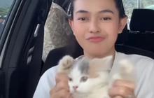 6 Potret Momen Dinda Mahira Mudik Lebaran ke Palembang Naik Mobil Mewah, Tak Lupa Ajak Kucing Kesayangan Pulang Kampung