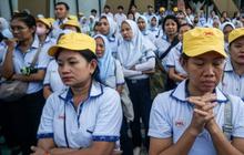 Kemenperin: Lapangan Kerja Tumbuh 20 Kali Lebih Besar Dibandingkan PHK, Ini Datanya