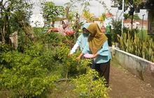 Kreatif, Emak-Emak di Lumajang Bertani Mandiri di Tengah Mahalnya Harga Cabai