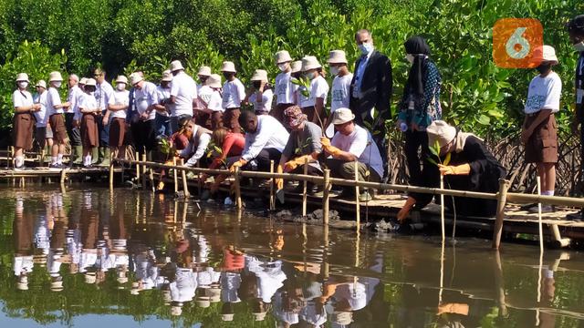 Penanaman Mangrove di Bali