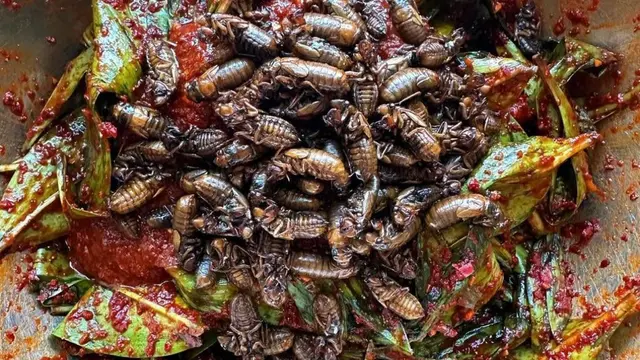 Salah satu sajian buatan Chef Joseph Yoon, spesialis hidangan berbahan dasar serangga. (Instagram/@brooklynbugs)