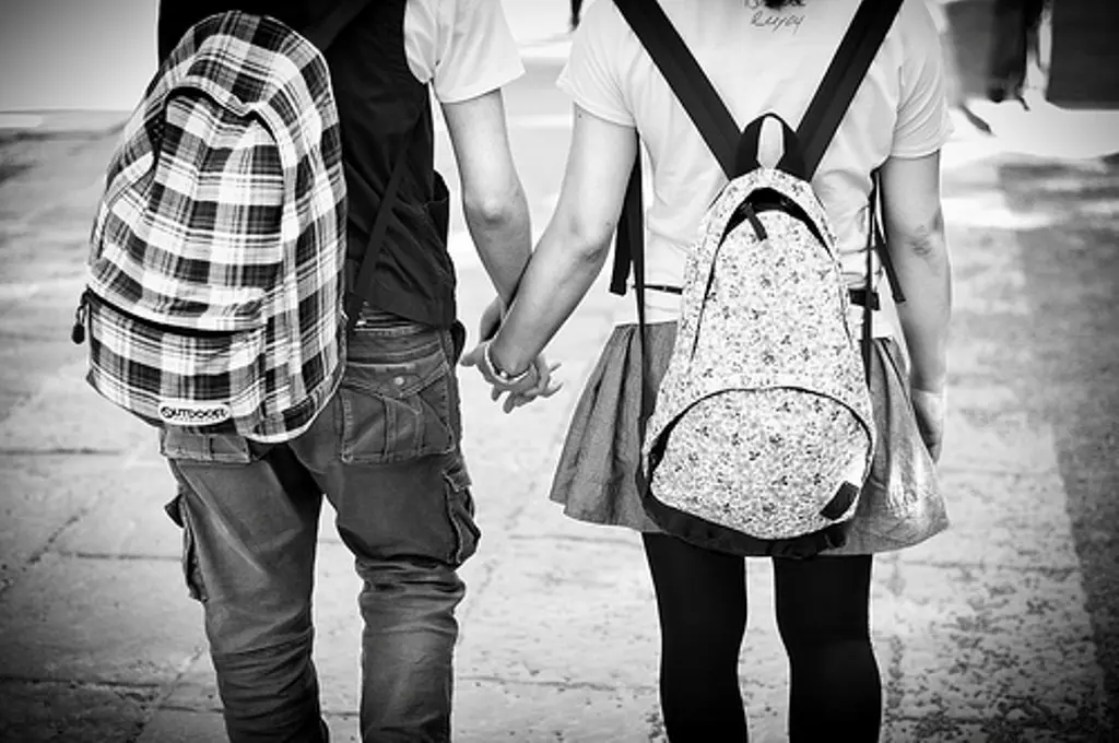 Taurus. (Sumber foto: anythingthatconcernstudens.blogspot.co.id)