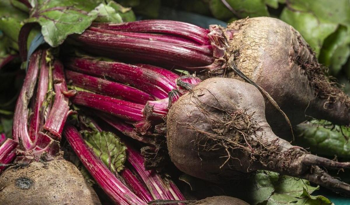 3.&nbsp;Buah Bit: Antioksidan dan Nitrat