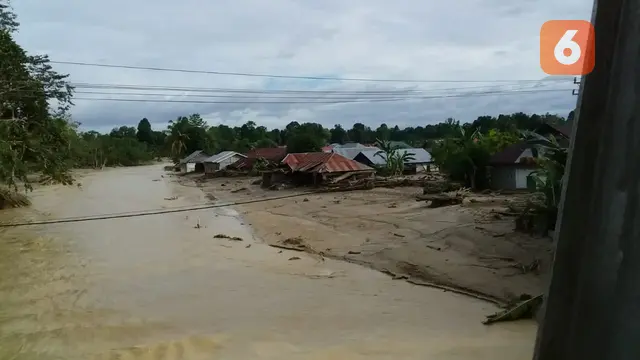 Banjir Bandang Luwu Utara (Fauzan)