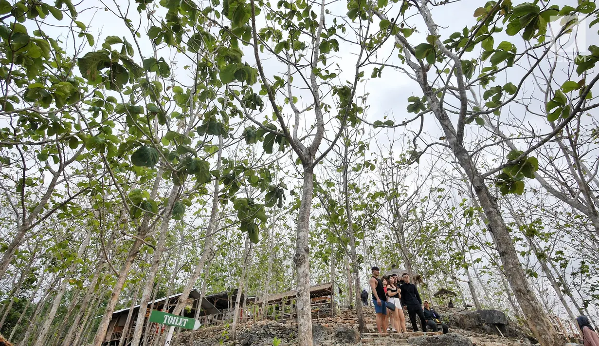 Wisatawan menikmati suasana Bukit Panguk Kediwung, Bantul, Yogyakarta (16/10). Bukit Panguk Kediwung dibuka untuk umum sekitar pertengahan 2016 oleh masyarakat setempat dan menawarkan keindahan sunrise di atas awan. (Liputan6.com/Herman Zakharia)