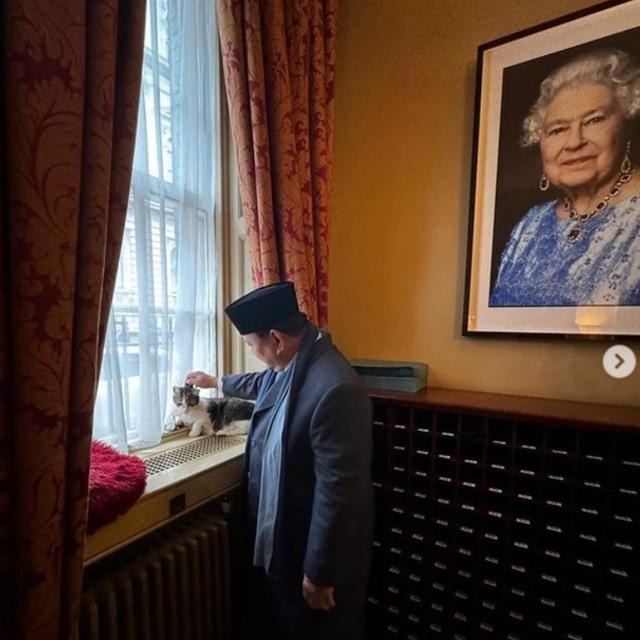 Prabowo Elus Kucing Penghuni Setia Kantor PM Inggris, Disebut Kangen Bobby Kertanegara