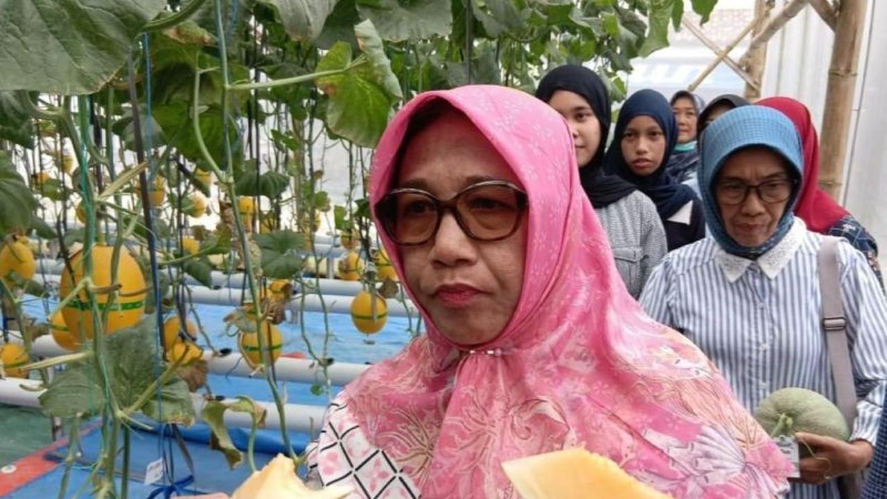 Pemkab Blora Dorong Petani Melon Hidroponik Lokal Penuhi Kebutuhan SPPG