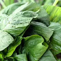 Bayam Disebut Makanan Super, Bagus Dikonsumsi oleh Pasien Hipertensi dan Diabetes. Foto: Liputan6.com/Ade Nasihudin.