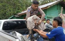 Tim Evakuasi Temukan Delapan Korban Baru, Total Korban Bencana Tapanuli Utara Capai 23 Jiwa