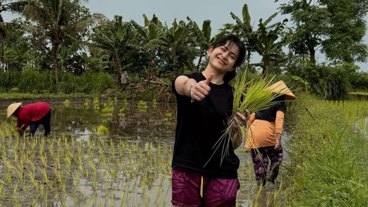 Potret Sintya Marisca Nyemplung ke Sawah Bantu Petani Menanam Padi
