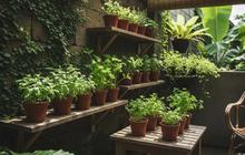 7 Ide Kebun Sayur Mini untuk Teras Kecil yang Sejuk, Perawatannya Sangat Mudah