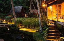 7 Hotel Unik dan Resort Mewah di Indonesia, Ada Sensasi Menginap di Atas Pohon
