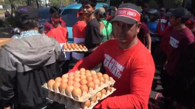 Demo Mahalnya Harga Pakan, Pengusaha dan Peternak di Sulsel Bagi-Bagi Telur dan Ayam