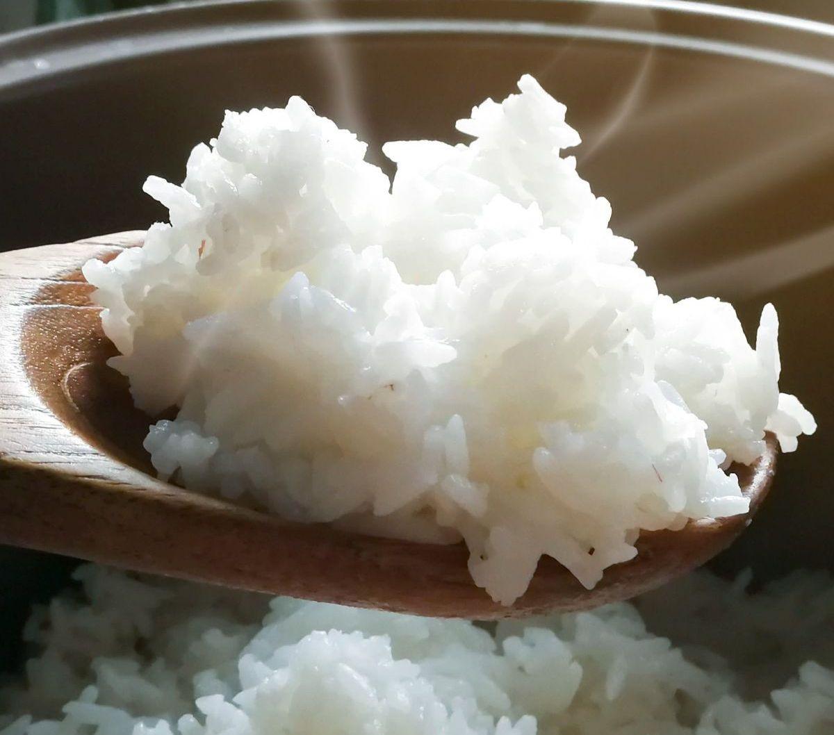 Kenapa ya makanan orang Indonesia bukan roti seperti di negara-negara Barat, atau mi? Selain itu, ada banyak makanan lain juga di Indonesia, seperti ubi, jagung, dan sagu, tapi kenapa nasi yang jadi makanan pokok? Ternyata ini alasannya.