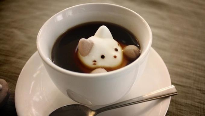 Download 7200 Gambar Gambar Lucu Kopi Terbaik Gratis