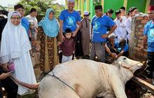 Perkuat Kebersamaan, Tiga Sapi Jumbo Diberikan Pelaku Usaha Kreatif buat Warga Palembang