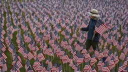 Seorang anak laki-laki berjalan di antara 3.000 bendera Amerika Serikat untuk mengenang sejumlah korban tewas dalam serangan 11 September 2001 di sebuah taman di Winnetka, Illinois, Kamis (10/9/2015). (REUTERS/Jim Young)