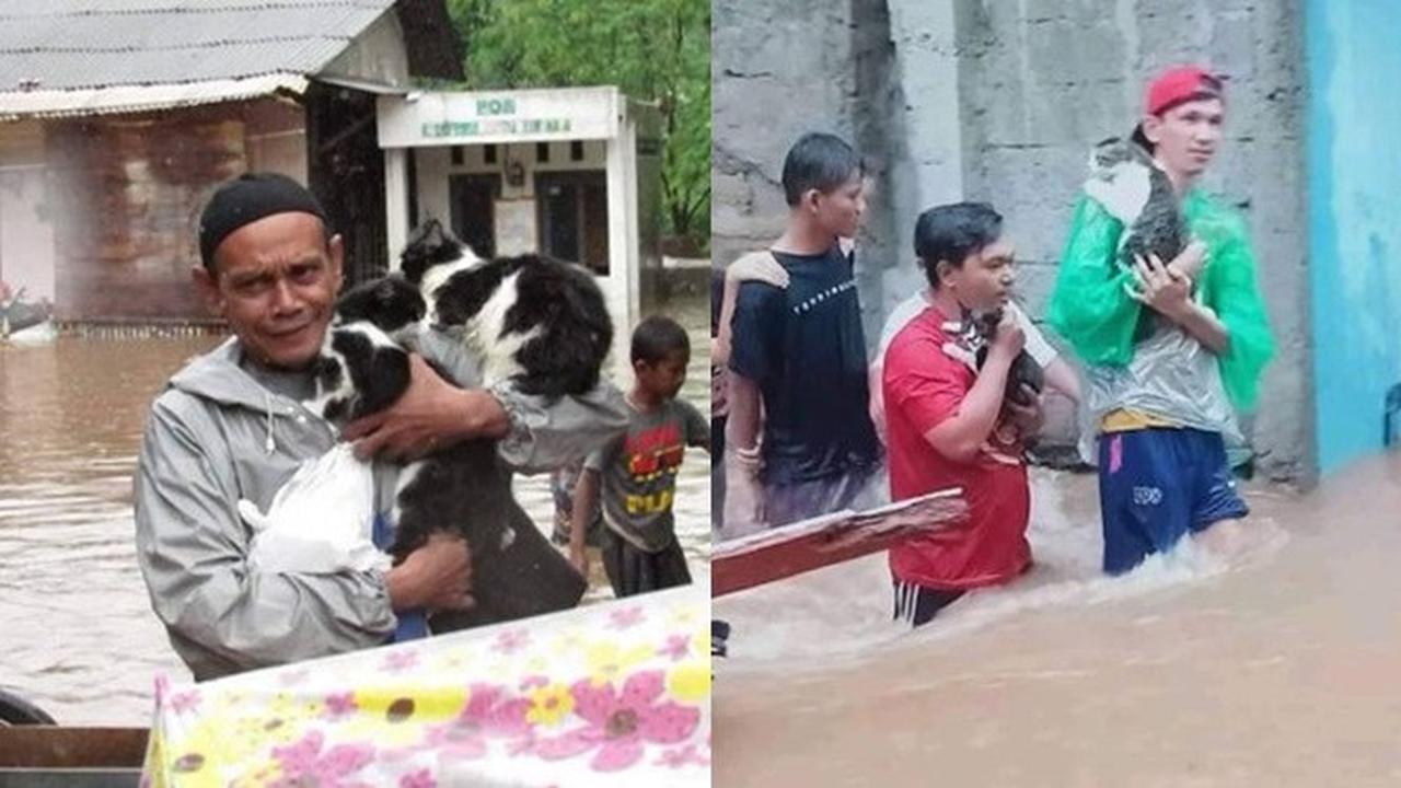 Potret Evakuasi 6 Kucing saat Banjir Ini Bikin Haru