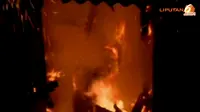 [VIDEO] Si Jago Merah Mengamuk di Kebayoran Lama