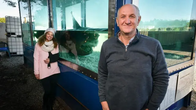 Kisah Tragis Hiu Putih yang Mati dan Ditinggalkan di Taman Margasatwa Terbengkalai