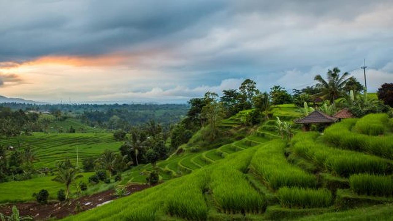 6 Desa Wisata di Bali yang Tak Kalah Menarik untuk Dikunjungi dari Desa Penglipuran