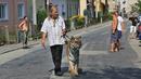 Pemilik dan pelatih hewan sirkus, Jaromir Joo mengajak harimaunya yang bernama Taiga berjalan-jalan di Letovice, Republik Ceko, 30 Agustus 2015. (AFP PHOTO/Radek MICA)