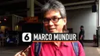 THUMBNAIL MARCO