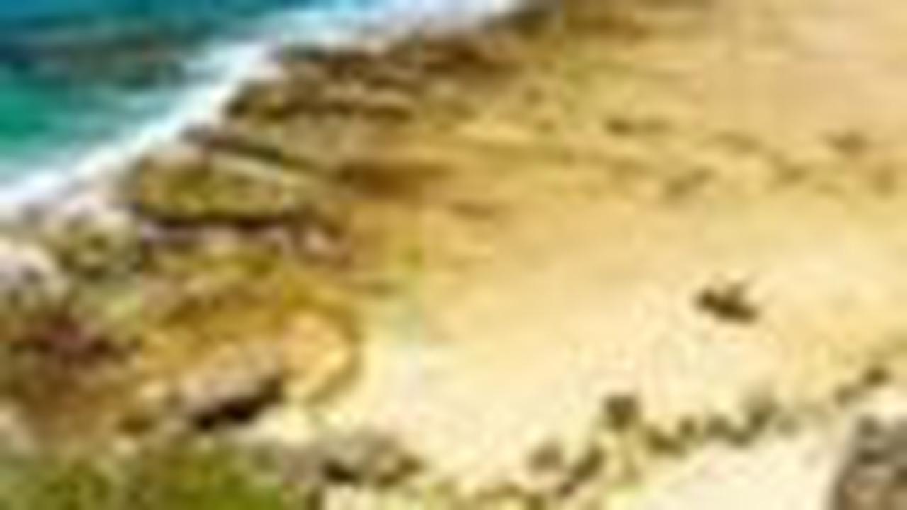 3. Tonga