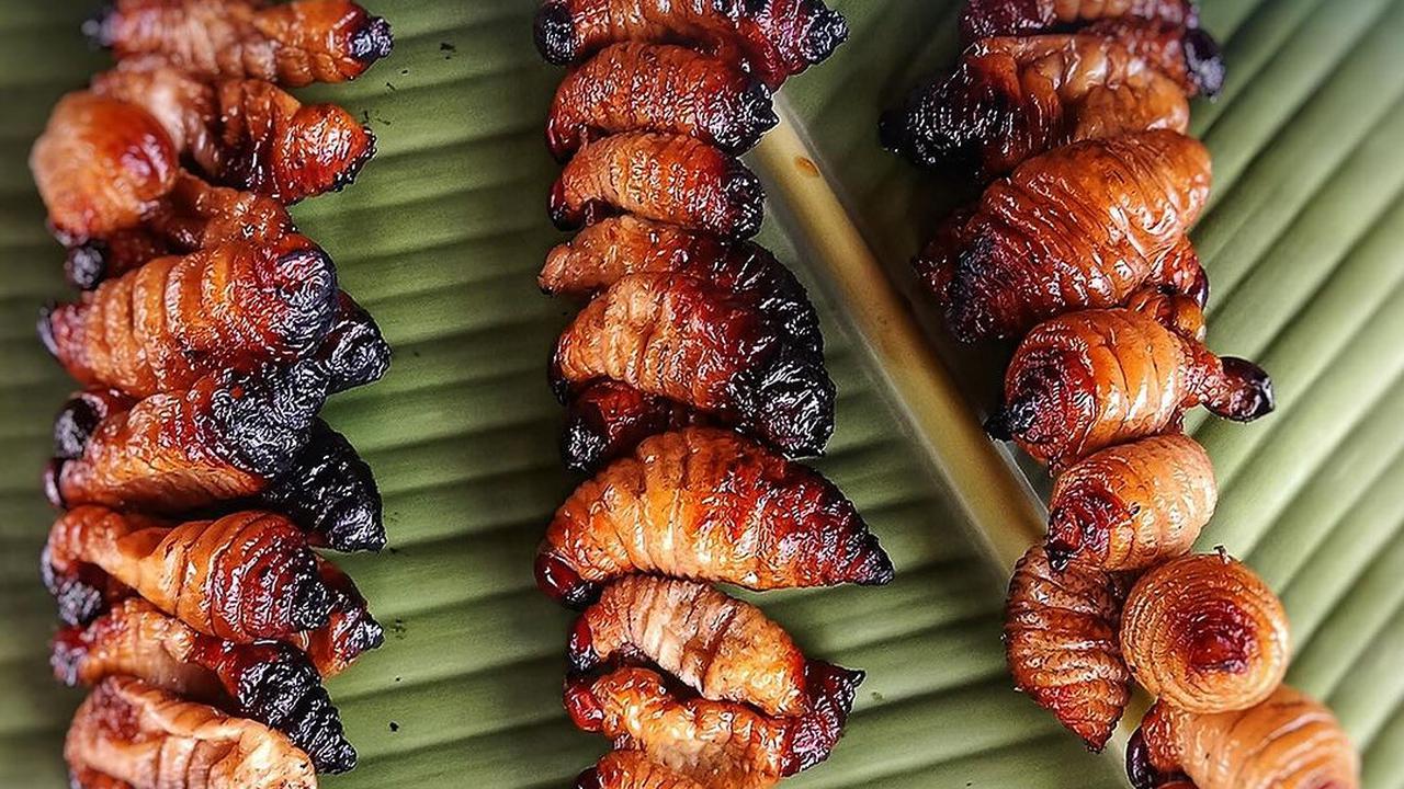 Sate ulat sagu