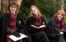 Akar Mirip Manusia seperti di Film Harry Potter Ternyata Benar-benar Ada