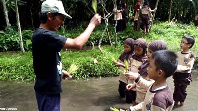 Kelas Sawah Anak Sd Di Lereng Gunung Merapi Health