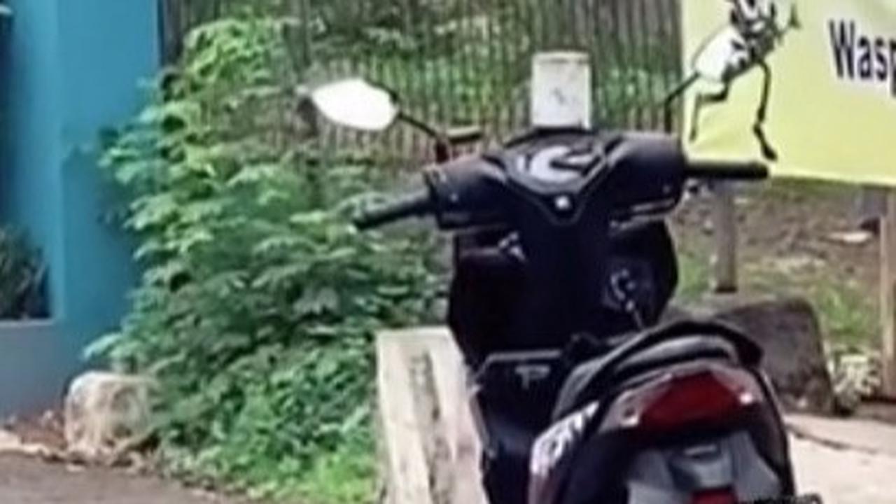 Aksi Pengendara Motor saat Mendapat Makanan Gratis di Jalan Ini Viral, Bikin Haru