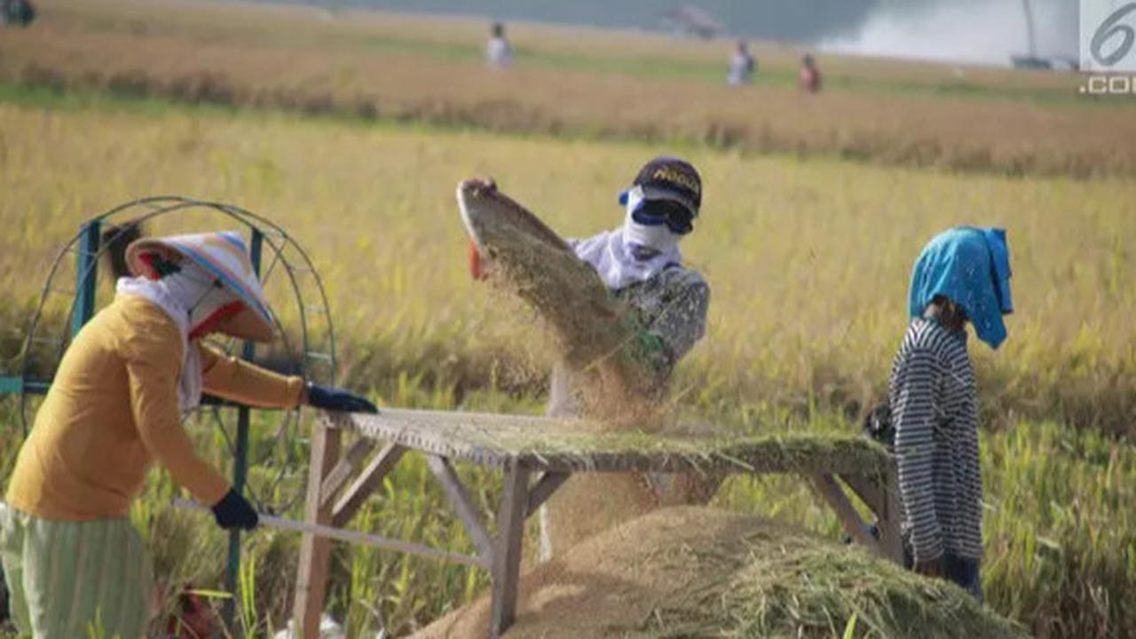 Jakarta Mustahil Mencukupi Kebutuhan Pangan Sendiri, Butuh Dukungan Produksi dari Karawang