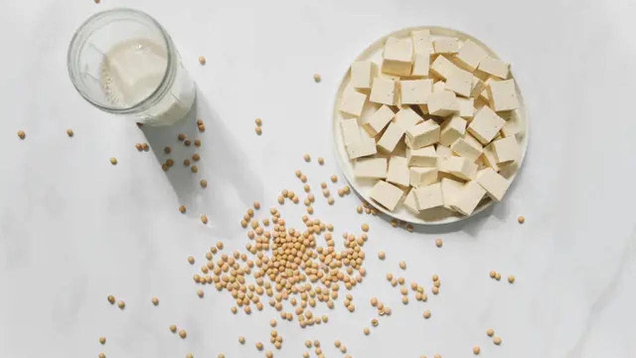 Tempe atau Tahu: Mana yang Lebih Kaya Nutrisi segera Tentukan Pilihanmu