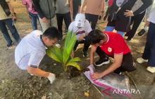Gotong Royong Pemkot Bengkulu Perkuat Komitmen Penghijauan dan Kebersihan Pantai Wisata