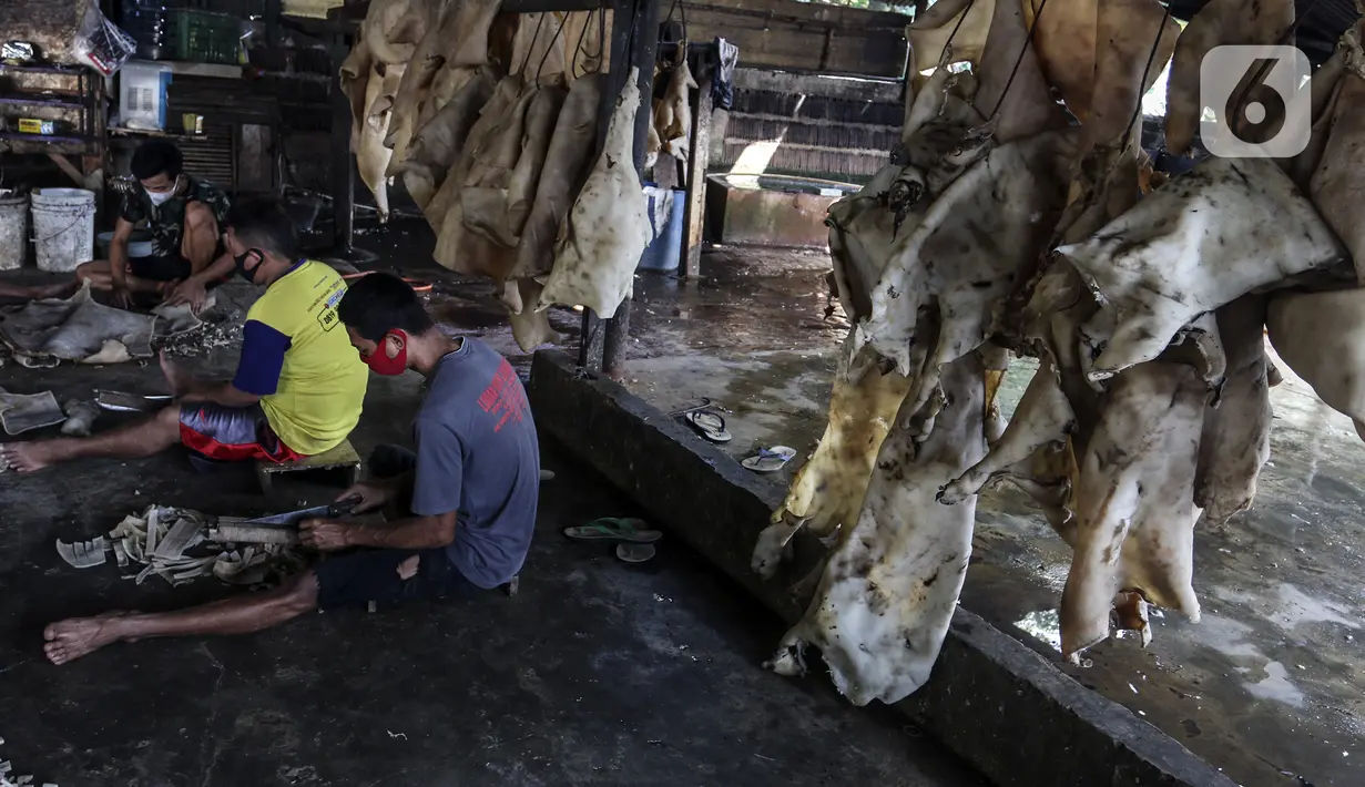 Pekerja memotong kulit sapi untuk dijadikan kerupuk di Kerupuk Kulit Bambang, Depok, Jawa Barat, Sabtu (28/8/2021). Pelaku usaha kerupuk kulit mengaku sejak Pemberlakuan Pembatasan Kegiatan Masyarakat (PPKM) produksi kerupuk kulit menurun hingga 60 persen. (Liputan6.com/Johan Tallo)