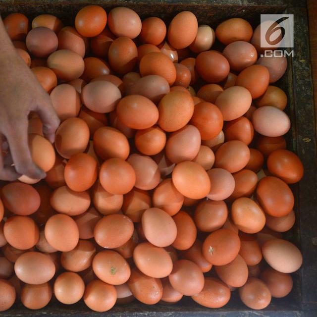 Harga Telur Ayam Di Pasar Slipi Dipatok Rp 26 Ribu Per Kg Bisnis Liputan6 Com