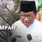 Pohon 'Sampah' Layangan