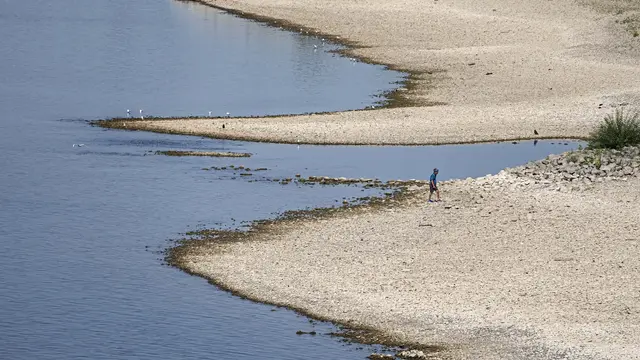 Sungai Rhine di Jerman Dilanda Kekeringan Parah