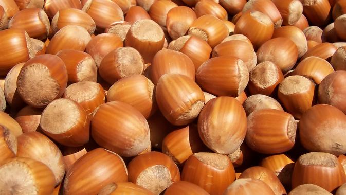 Kacang hazelnut (Via: en.wikipedia.com)