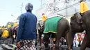 Sejumlah gajah mengikuti kirab ageng melintasi Jalan Sultan Agung di Yogyakarta, Kamis (7/1). Rute kirab sekitar 4 kilometer dan ada enam kuda menarik kereta kencana  Kiai Manik Kumolo yang  dinaiki KGPAA Paku Alam X. (Gholib)