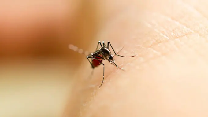 Foto: copyright thinkstockphotos.com