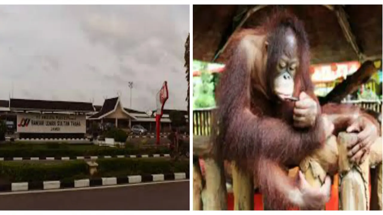 Bandara Kebun Binatang